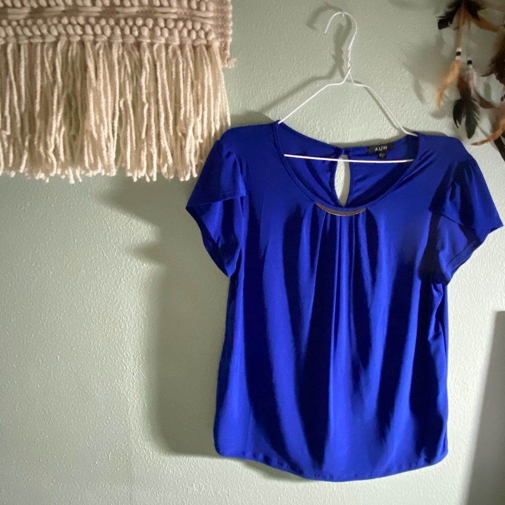 AUW Blue Formal Blouse
